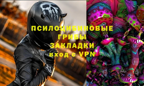 мяу мяу мука Аркадак