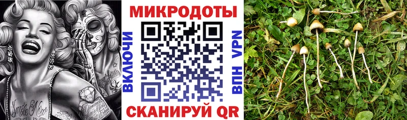 Псилоцибиновые грибы прущие грибы  Сухой Лог 